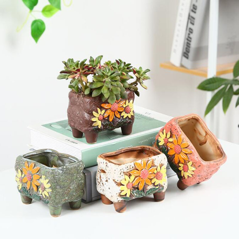Korean Style Succulent Plant P - Korean Desk Setup recensie en prijs