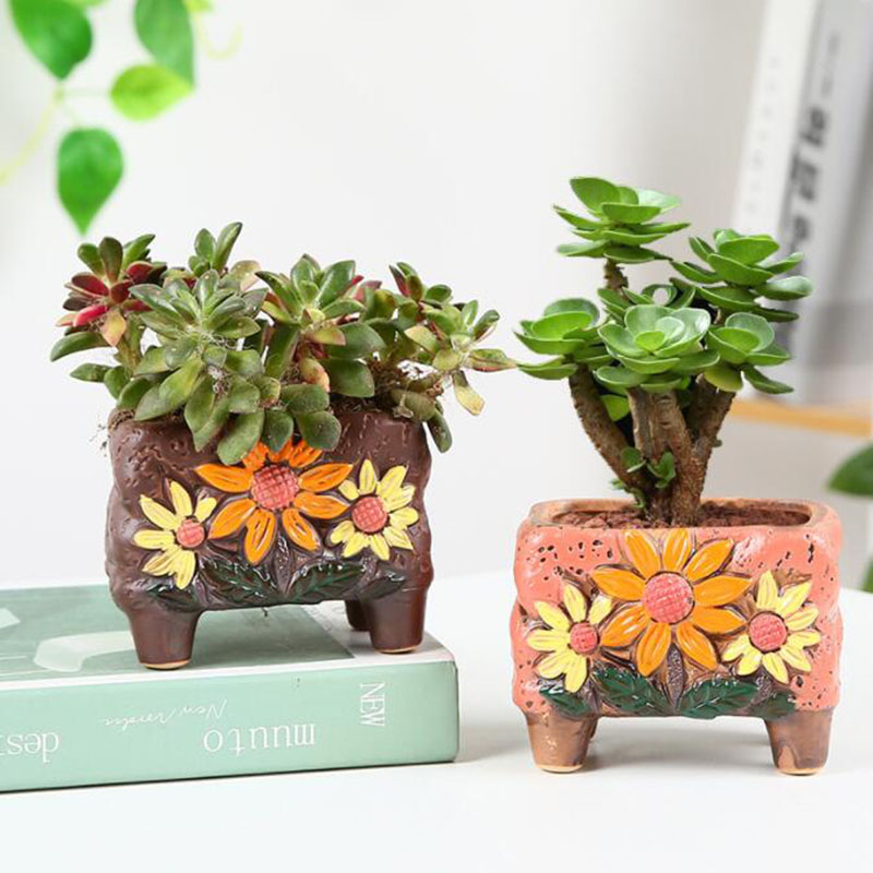 Korean Style Succulent Plant P - Korean Desk Setup recensie en prijs