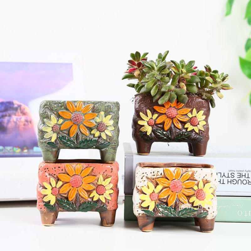 Korean Style Succulent Plant P - Korean Desk Setup recensie en prijs