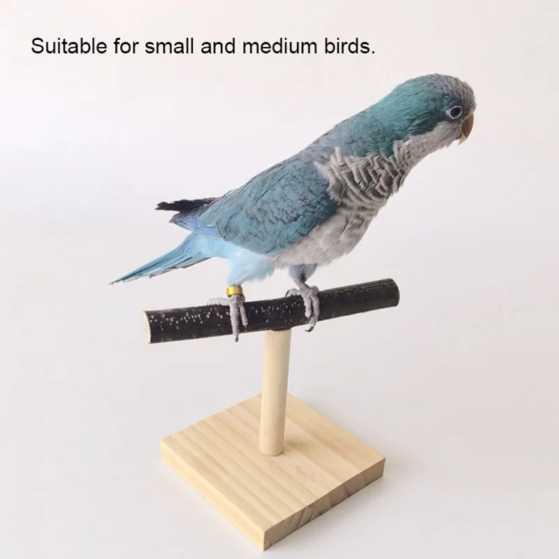 Natural Desktop Stand Pet Parr - Desk Setup Wood recensie en prijs